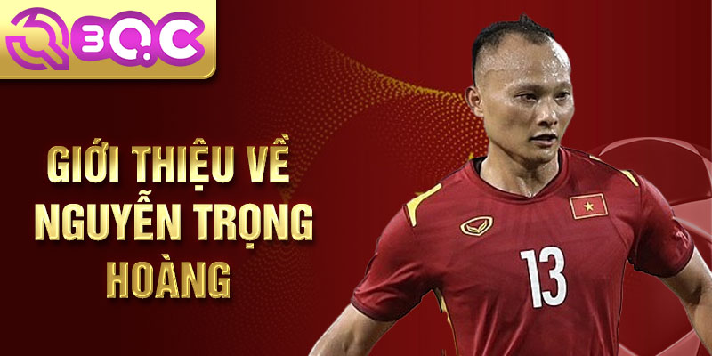 Giới thiệu về nguyễn trọng hoàng