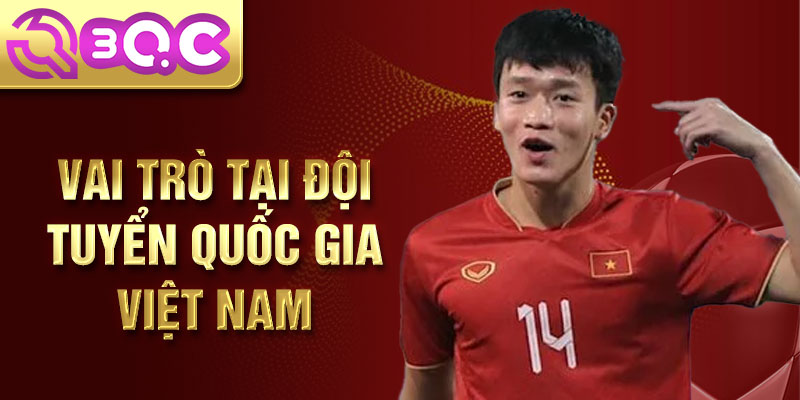 Vai trò tại đội tuyển quốc gia Việt Nam