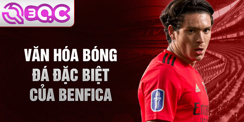 Văn hóa bóng đá đặc biệt của Benfica